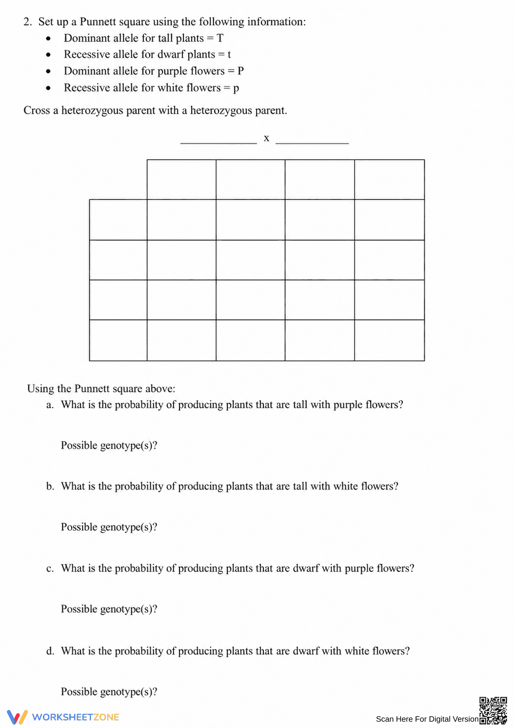 Printable Dihybrid Cross Worksheet | Grade 9-12 Biology - Page 2