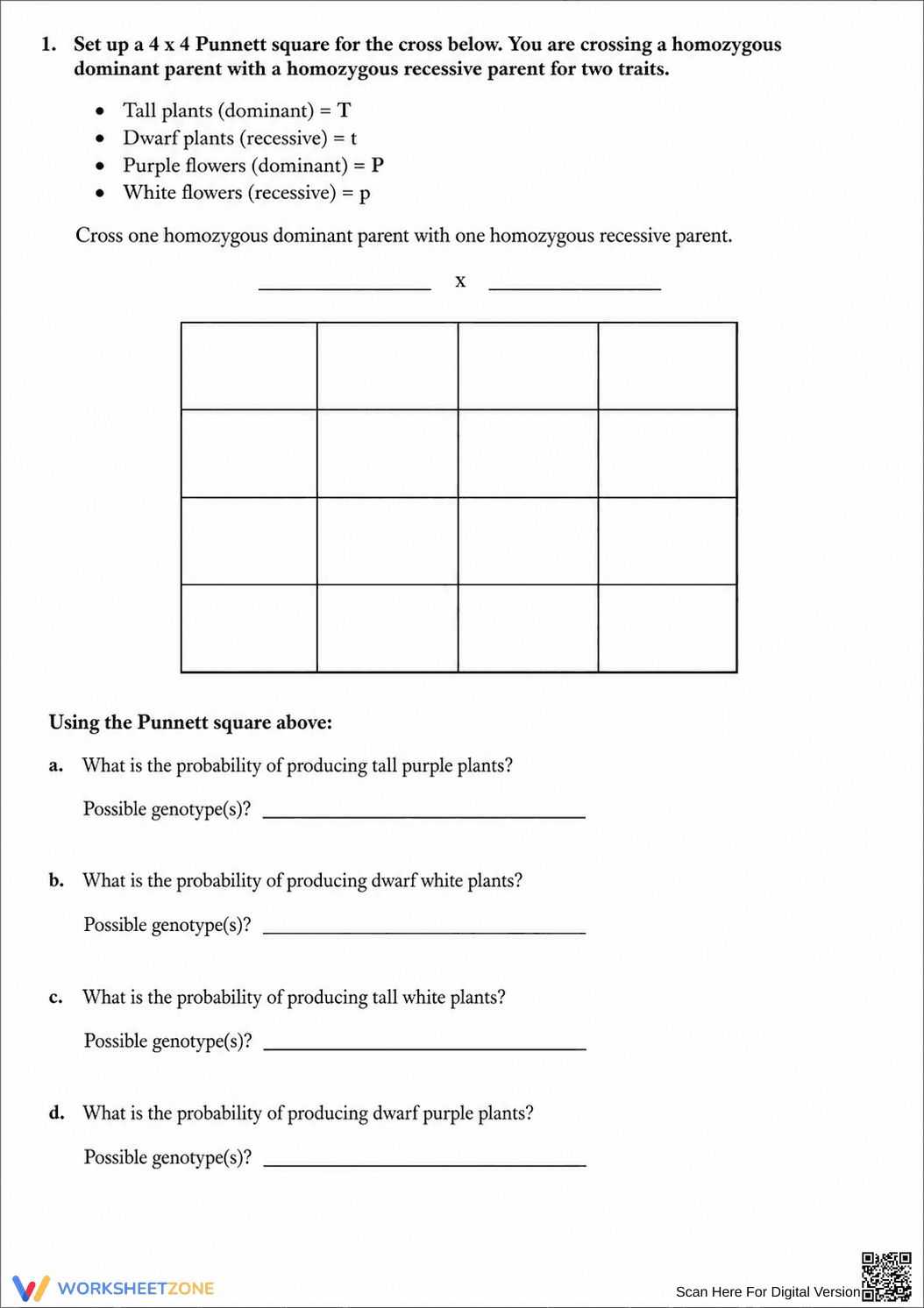 Printable Dihybrid Cross Worksheet | Grade 9-12 Biology - Page 3