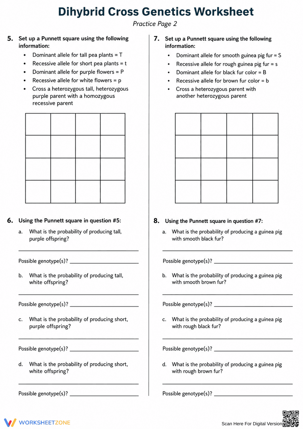Dihybrid Cross Genetics Worksheet | Essential Biology - Page 2