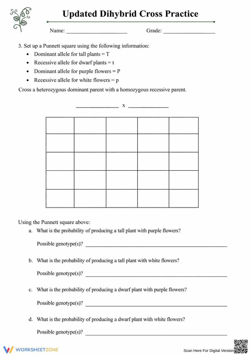 Dihybrid Cross Genetics Worksheet | Essential Biology - Page 3