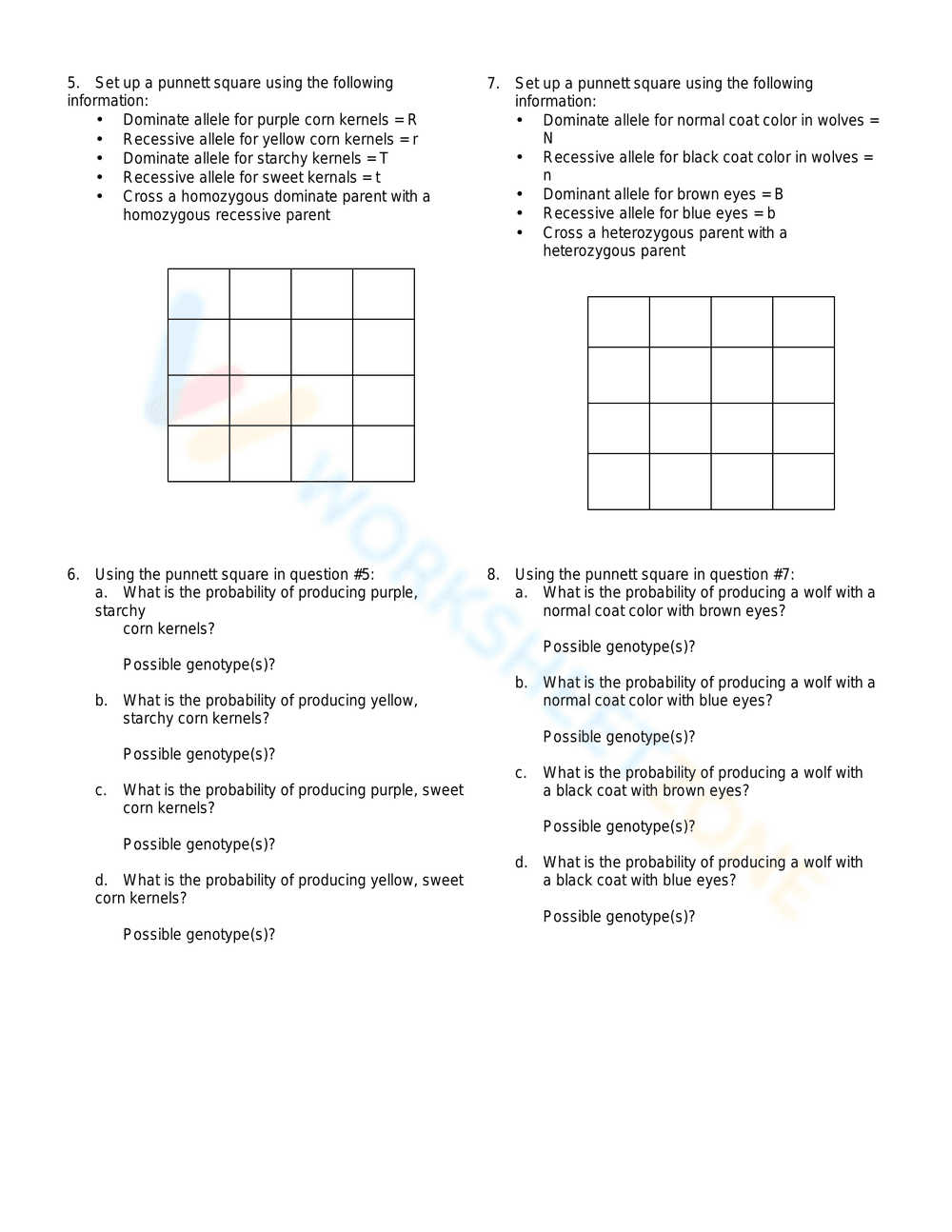 Dihybrid Cross Genetics Worksheet - Page 2