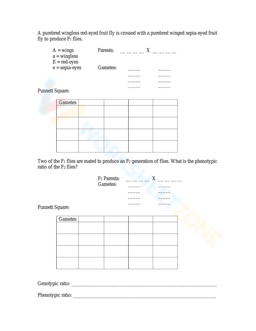 Advanced Dihybrid Cross Worksheet - Page 2