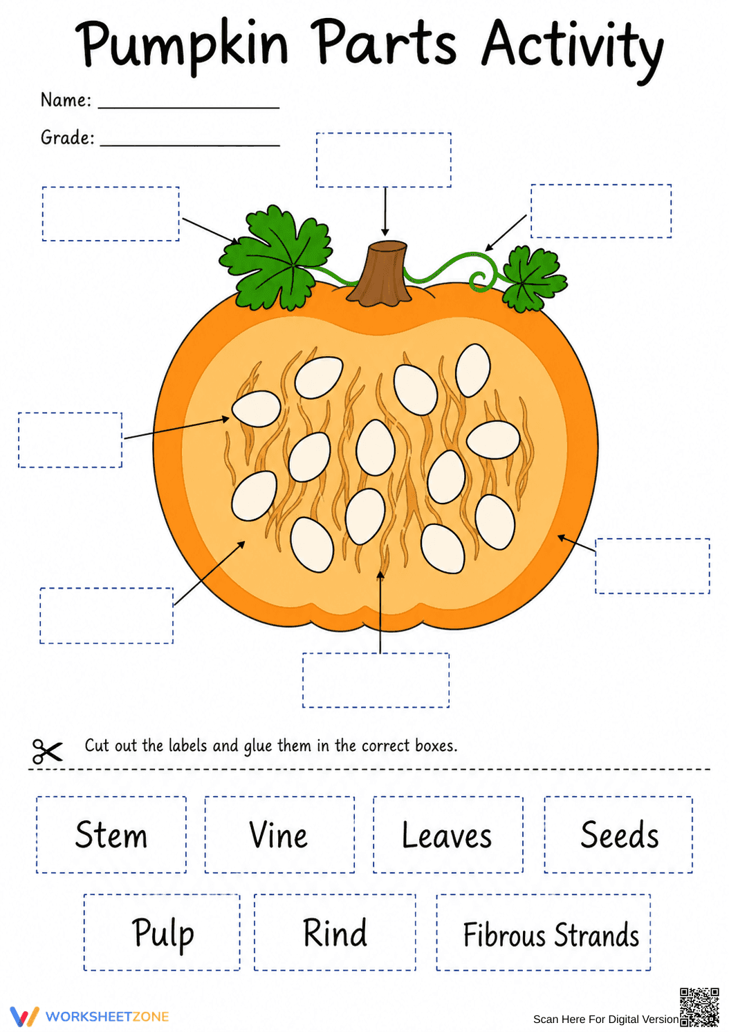 Printable Pumpkin Parts Worksheet (3 Levels) | Grade 4 - Page 4