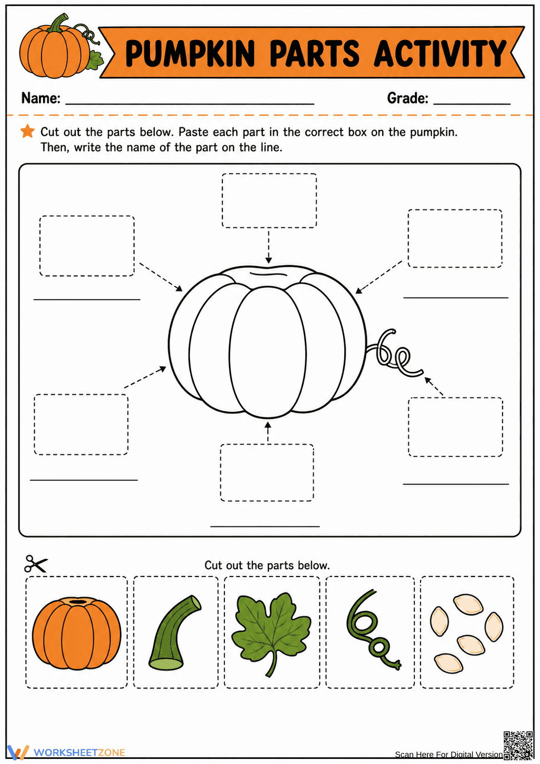Printable Pumpkin Parts Worksheet (3 Levels) | Grade 4 - Page 5