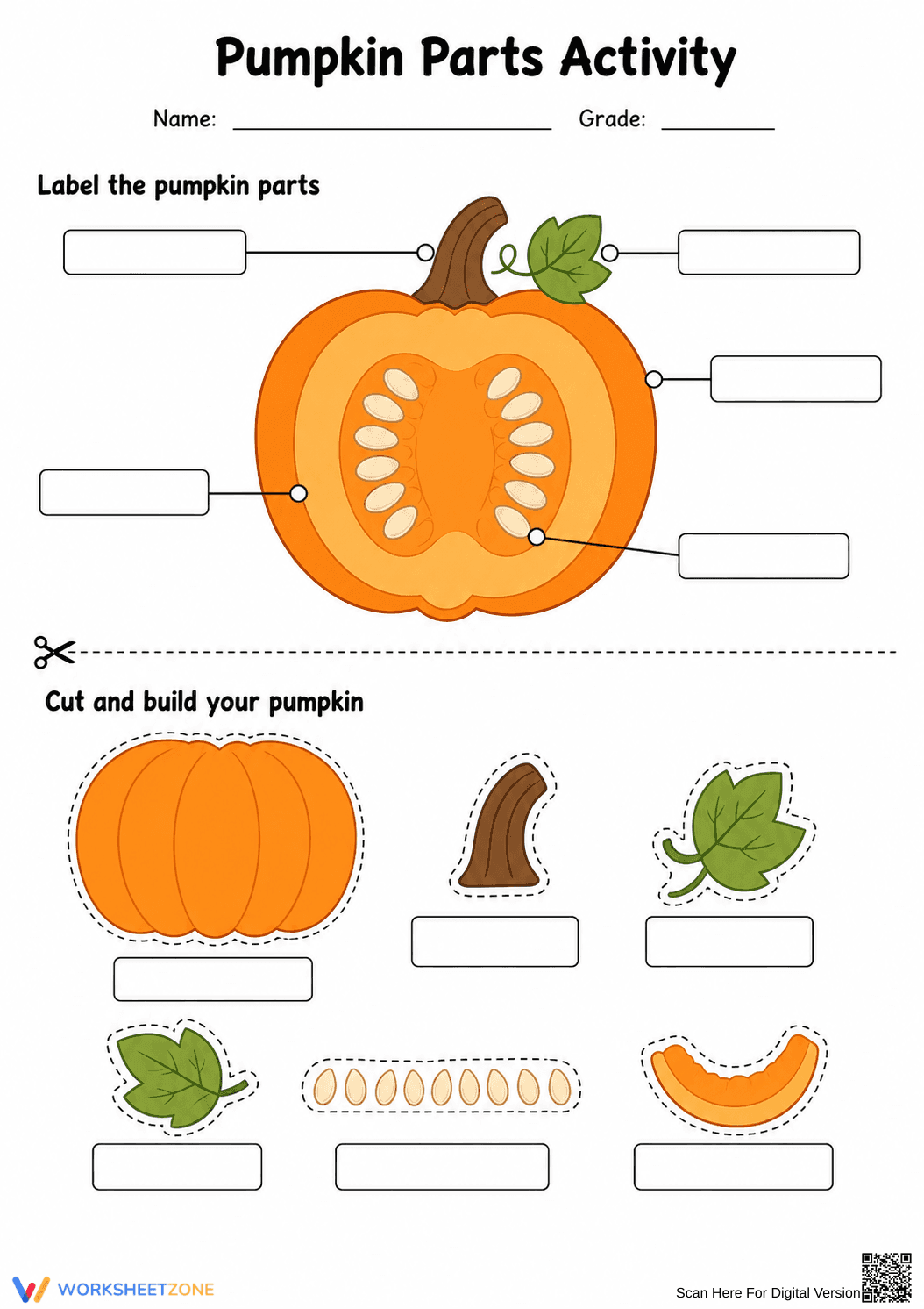 Printable Pumpkin Parts Worksheet (3 Levels) | Grade 4 - Page 6