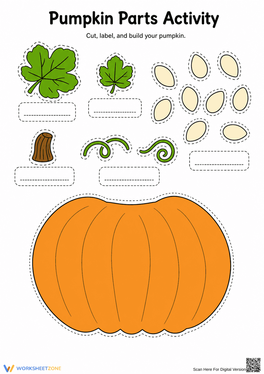 Printable Pumpkin Parts Worksheet (3 Levels) | Grade 4 - Page 7