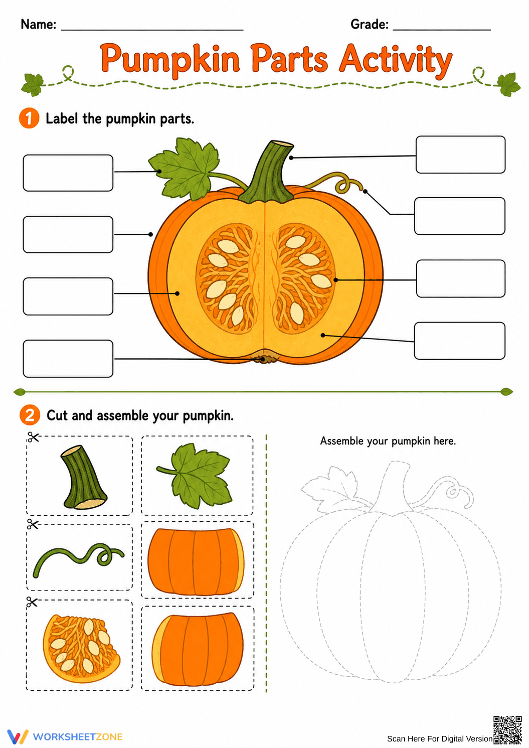 Printable Pumpkin Parts Worksheet (3 Levels) | Grade 4 - Page 8