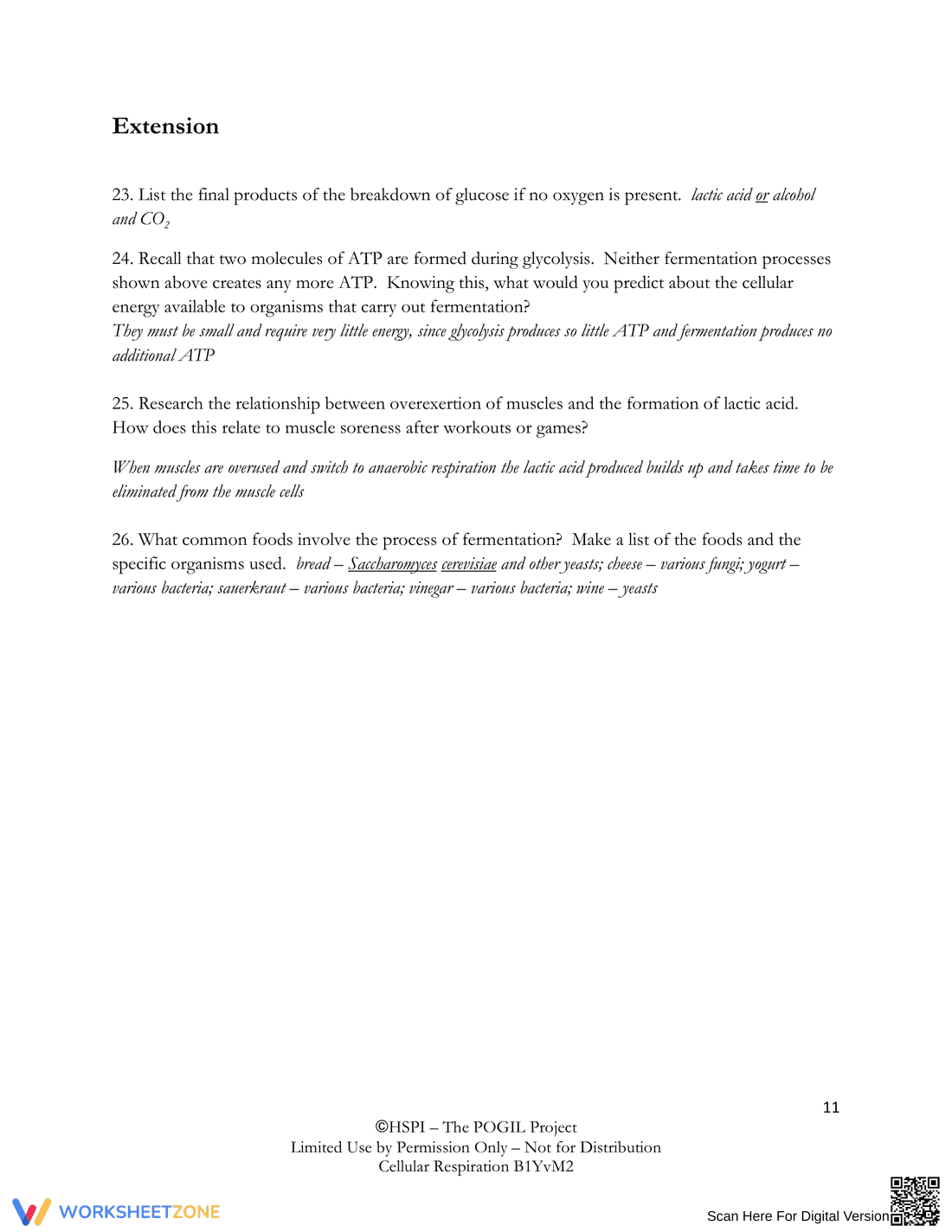 Understanding Cellular Respiration - Page 11