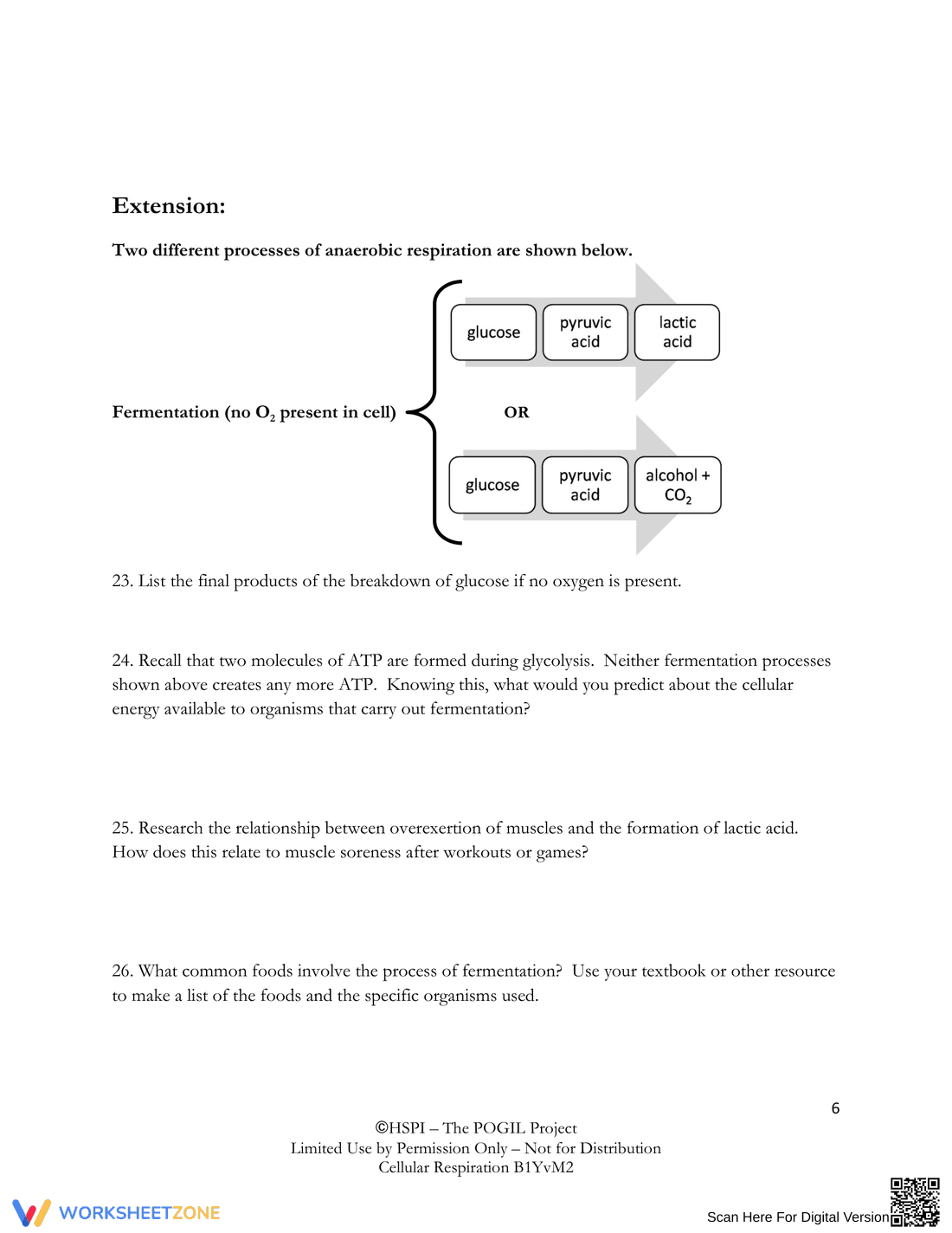 Understanding Cellular Respiration - Page 6