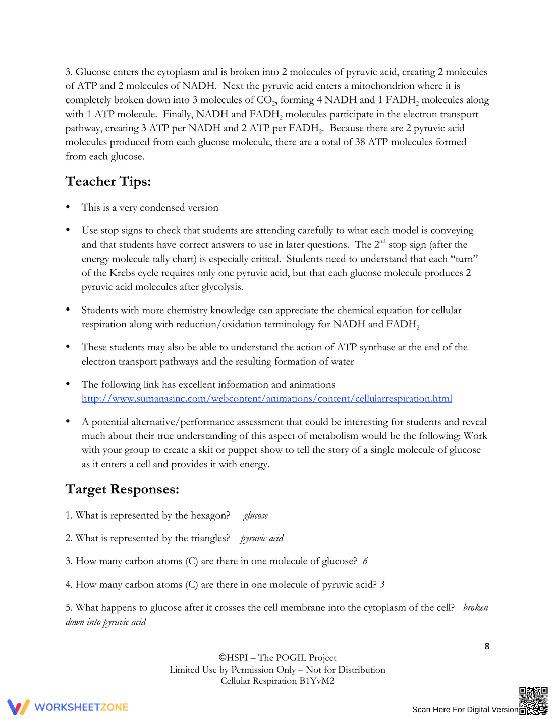 Understanding Cellular Respiration - Page 8