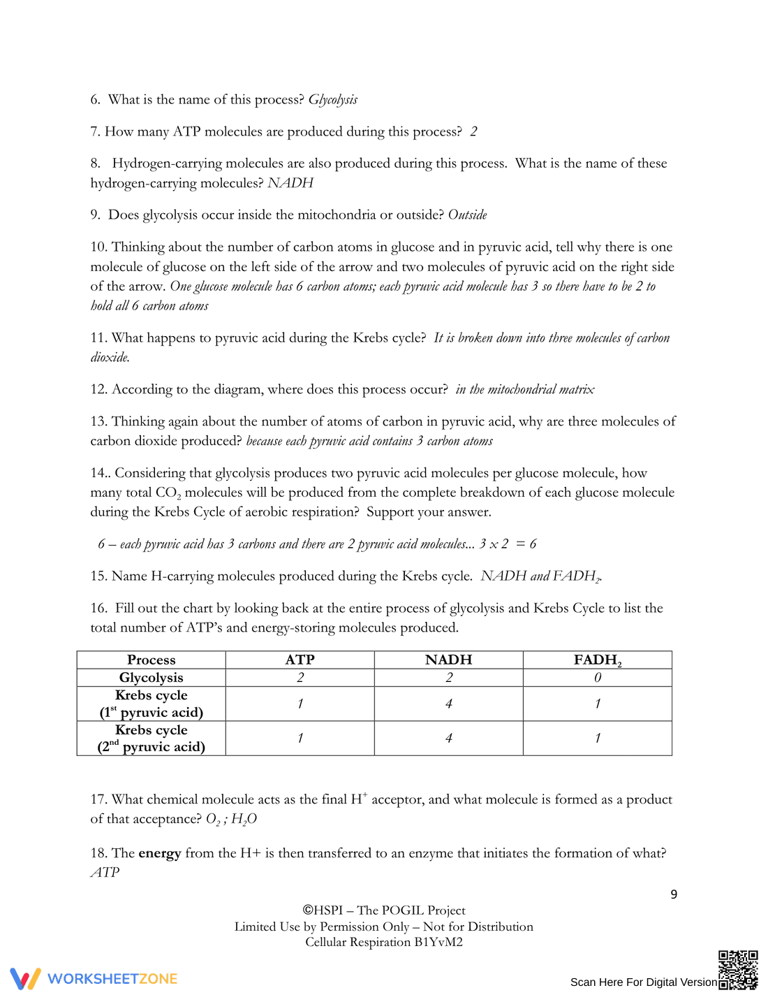 Understanding Cellular Respiration - Page 9