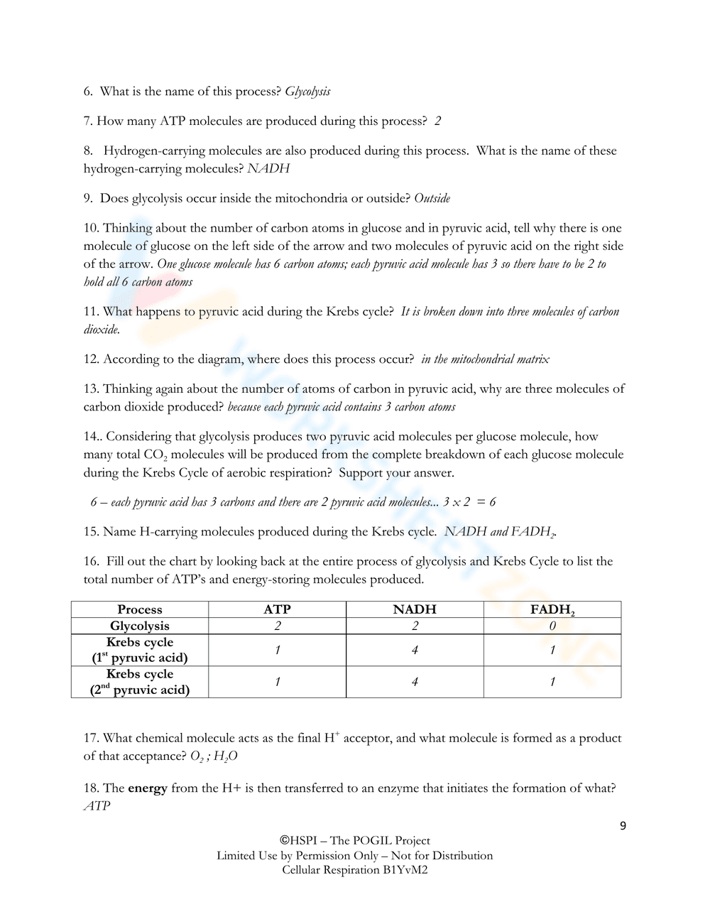 Understanding Cellular Respiration - Page 9
