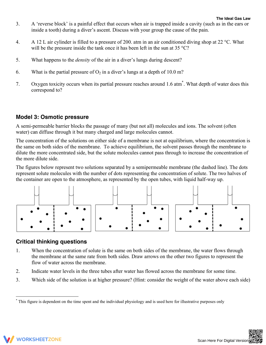 Understand the Ideal Gas Law - Page 4
