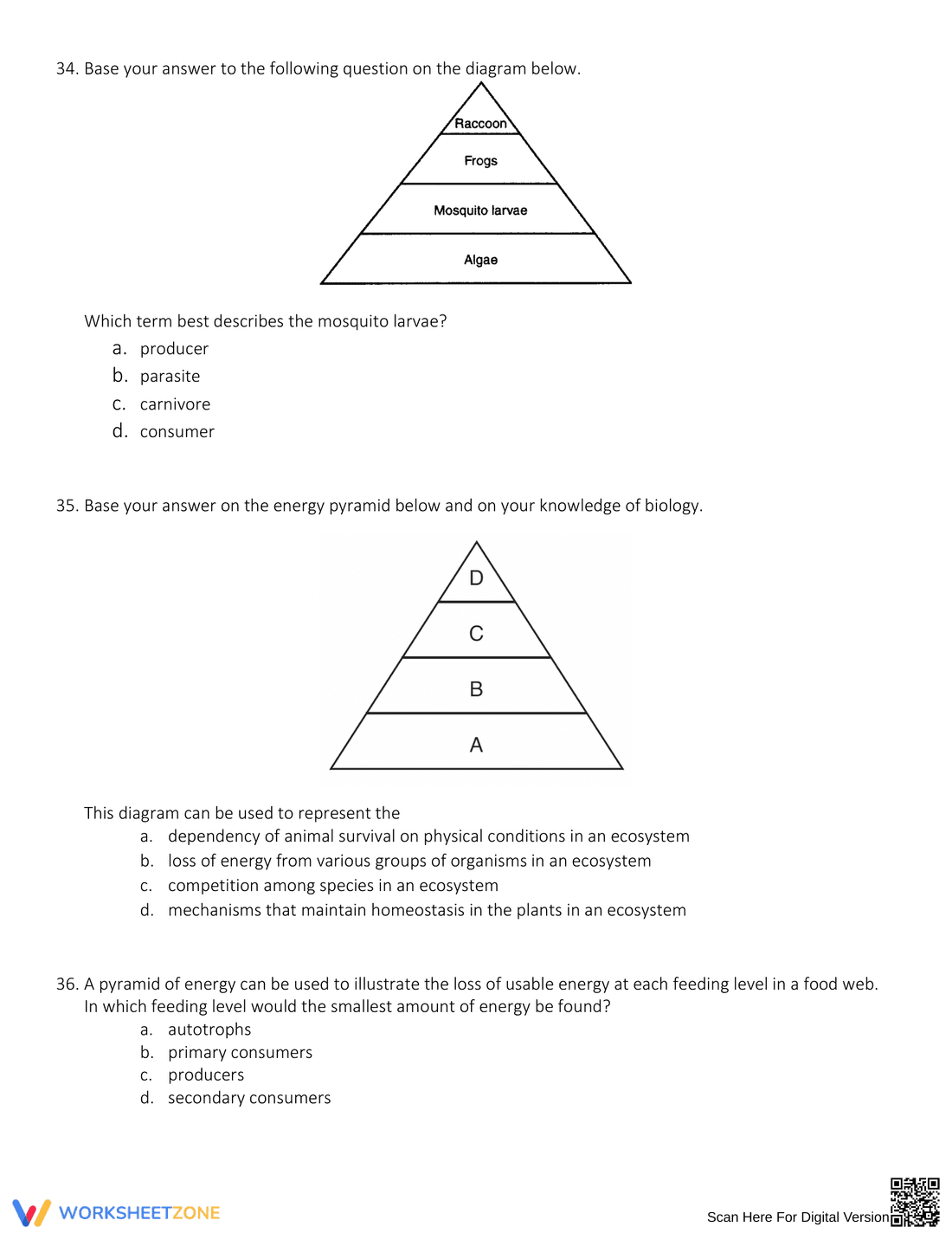 Exploring Energy Pyramid Concepts - Page 11