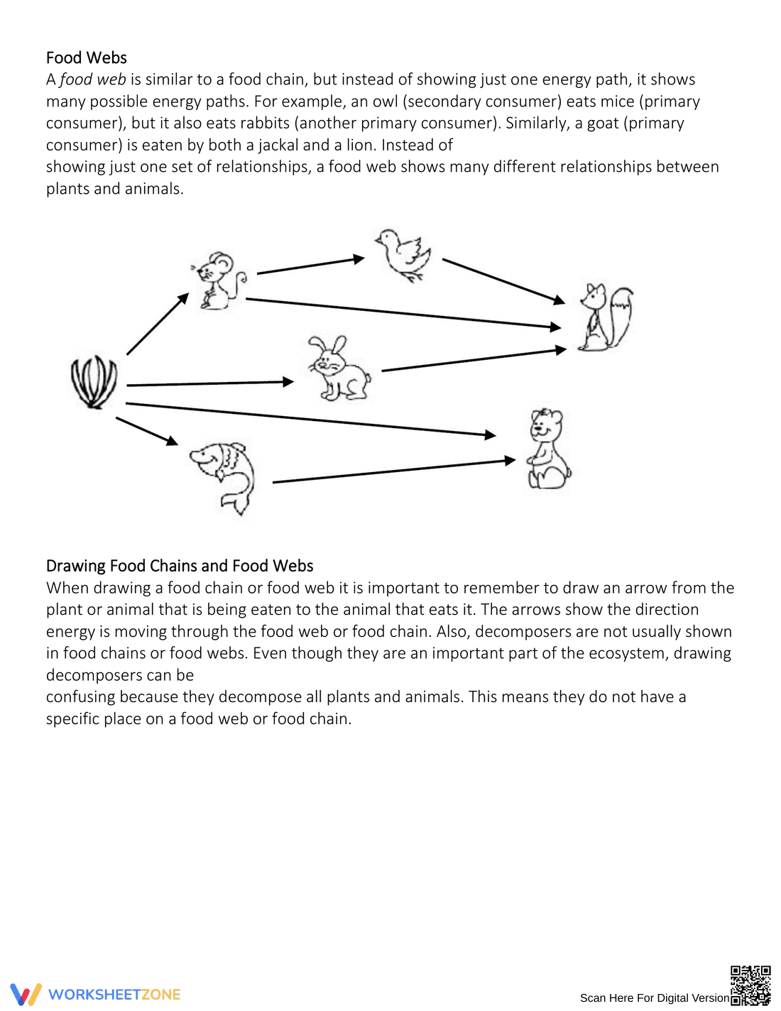 Exploring Energy Pyramid Concepts - Page 2