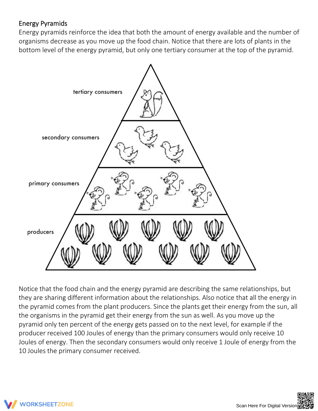 Exploring Energy Pyramid Concepts - Page 3