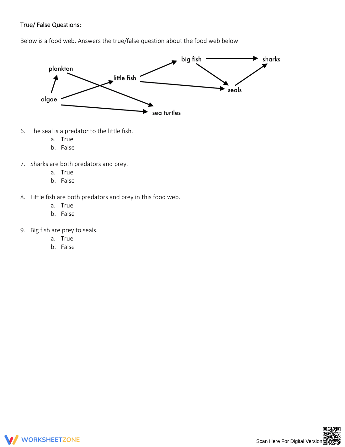 Exploring Energy Pyramid Concepts - Page 5