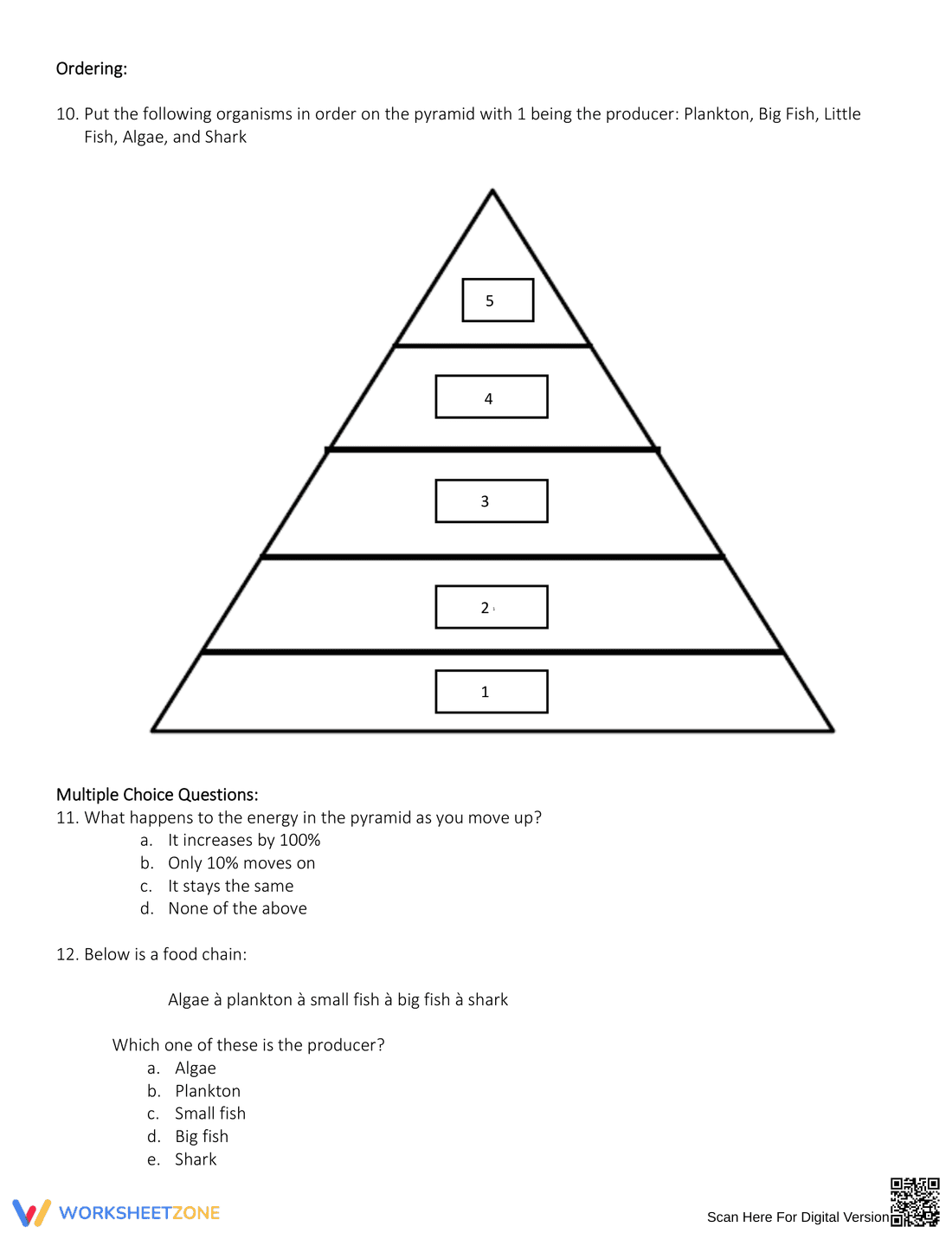 Exploring Energy Pyramid Concepts - Page 6