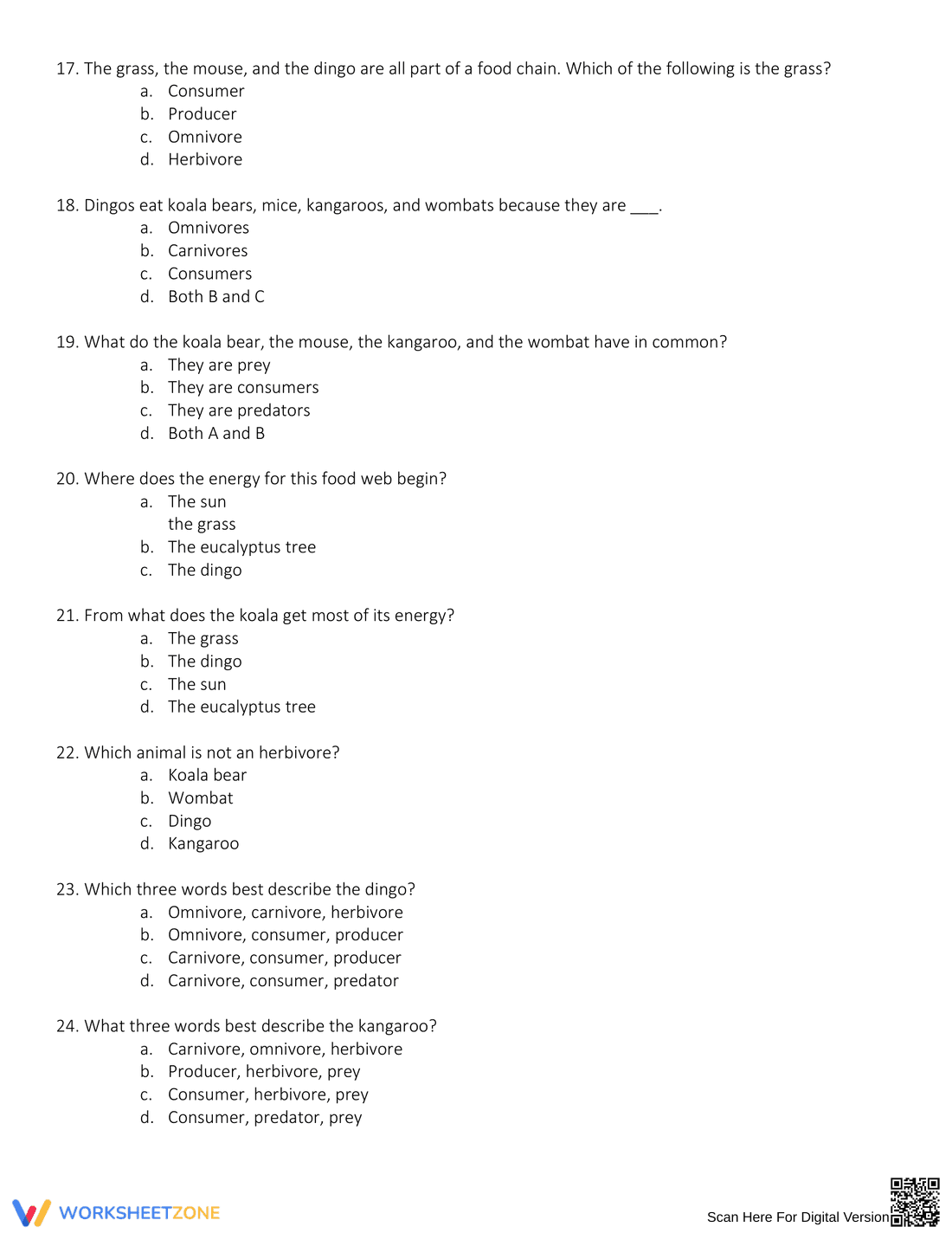 Exploring Energy Pyramid Concepts - Page 8