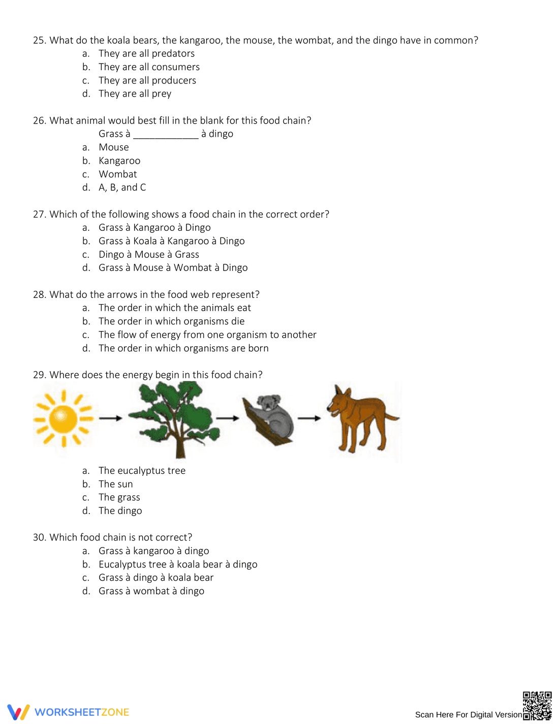 Exploring Energy Pyramid Concepts - Page 9