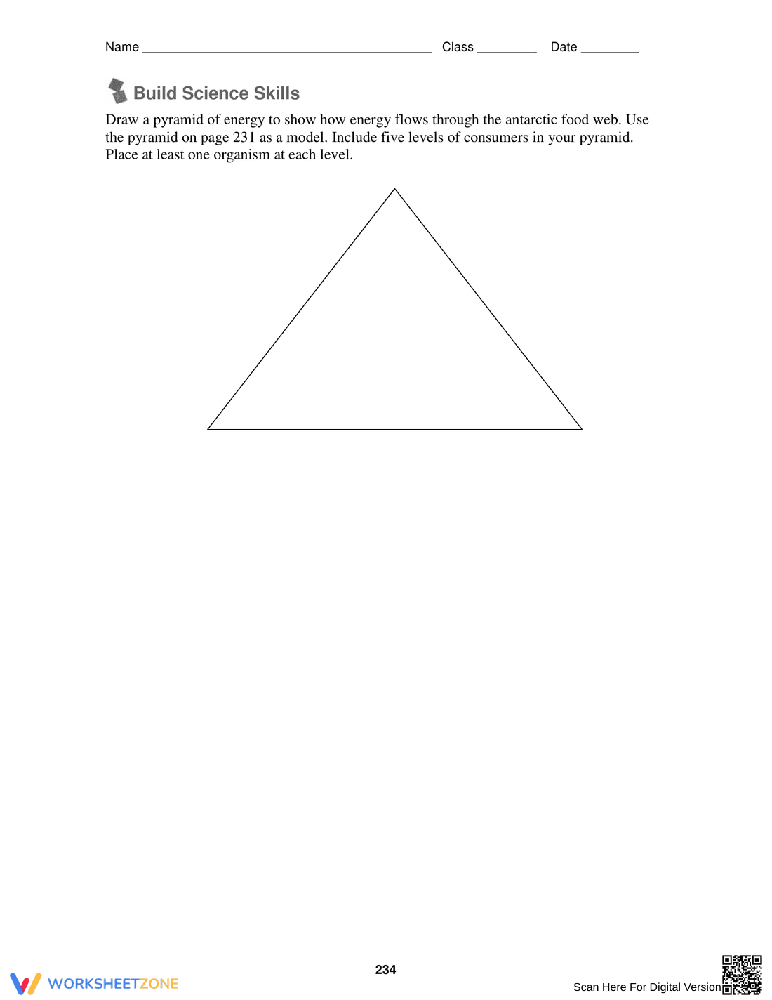 Practice with the Energy Pyramid - Page 4