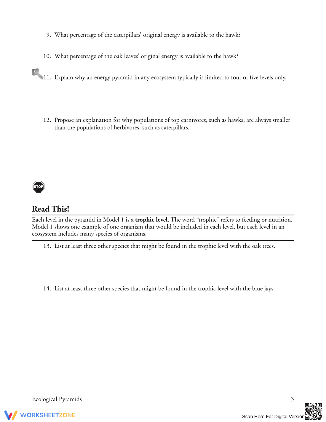 Understand the Pyramid of Energy - Page 3
