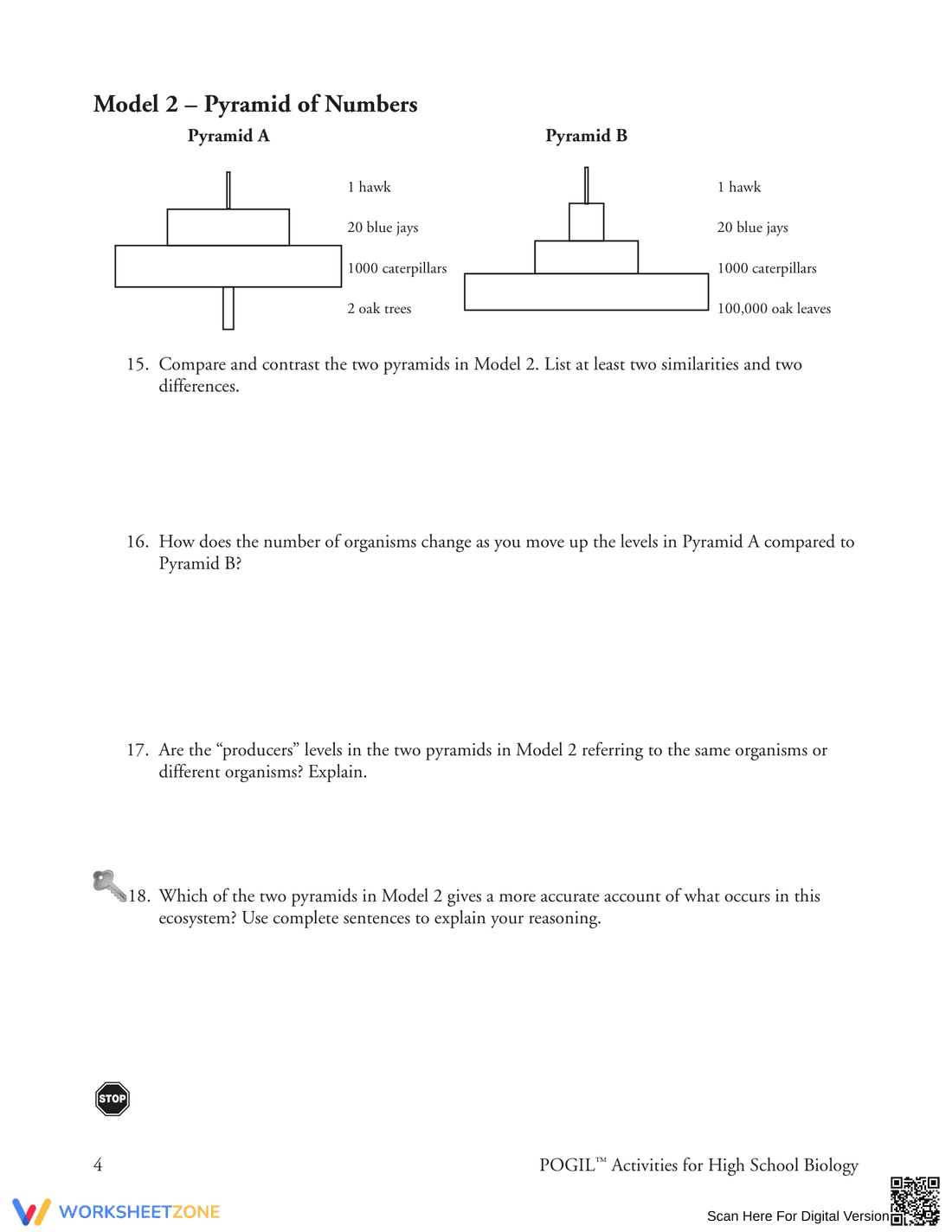 Understand the Pyramid of Energy - Page 4