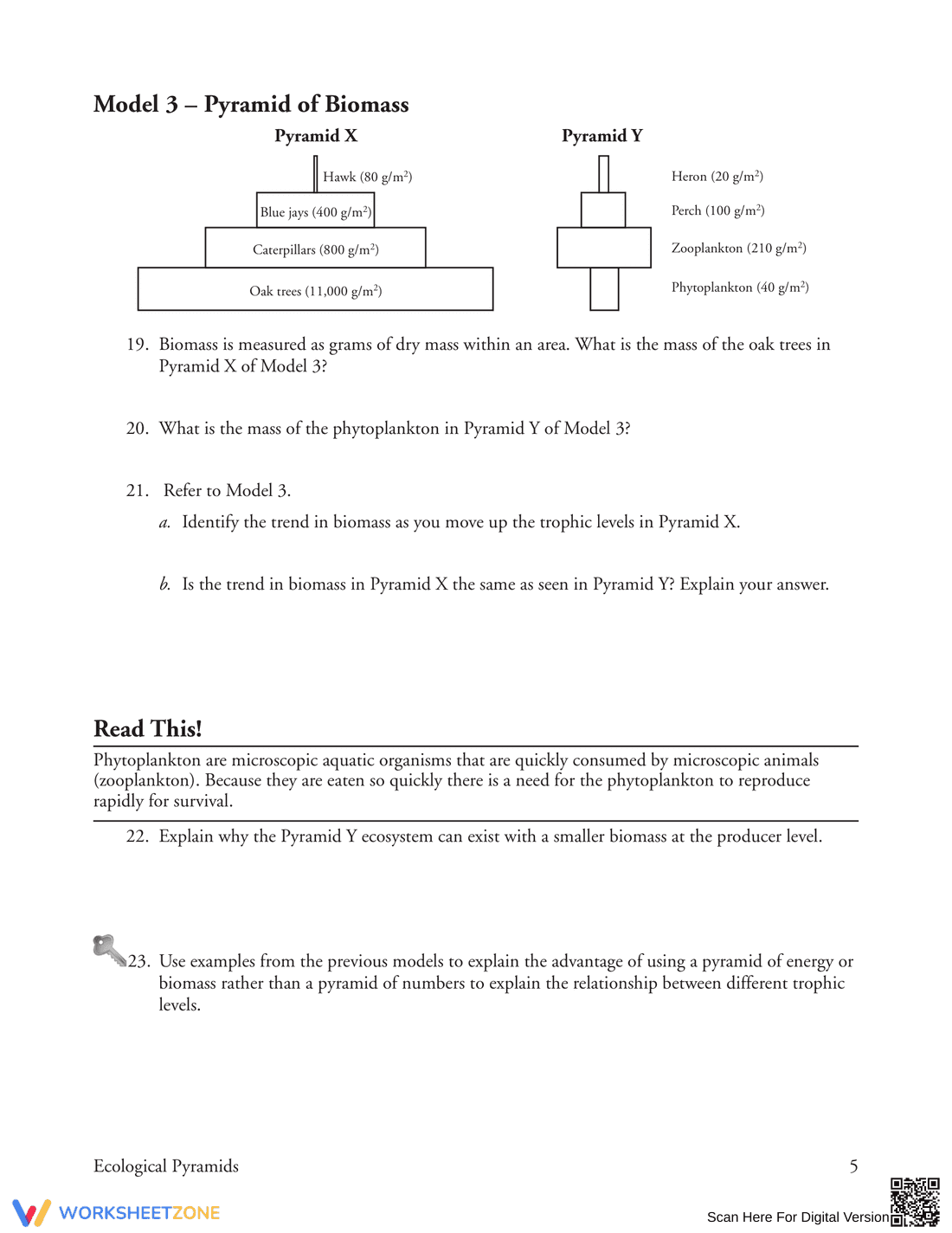 Understand the Pyramid of Energy - Page 5