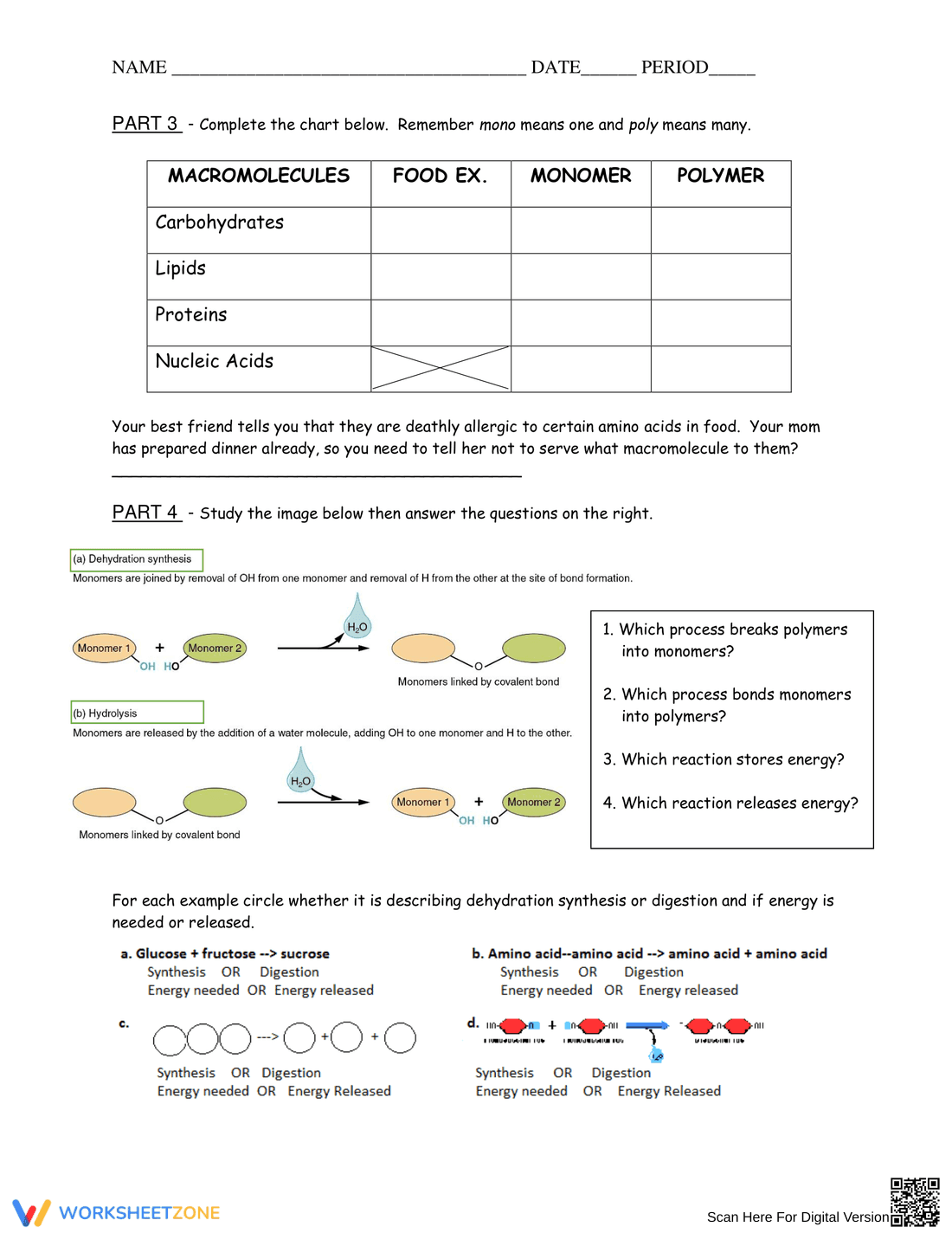 Learn About Monomers and Polymers - Page 2