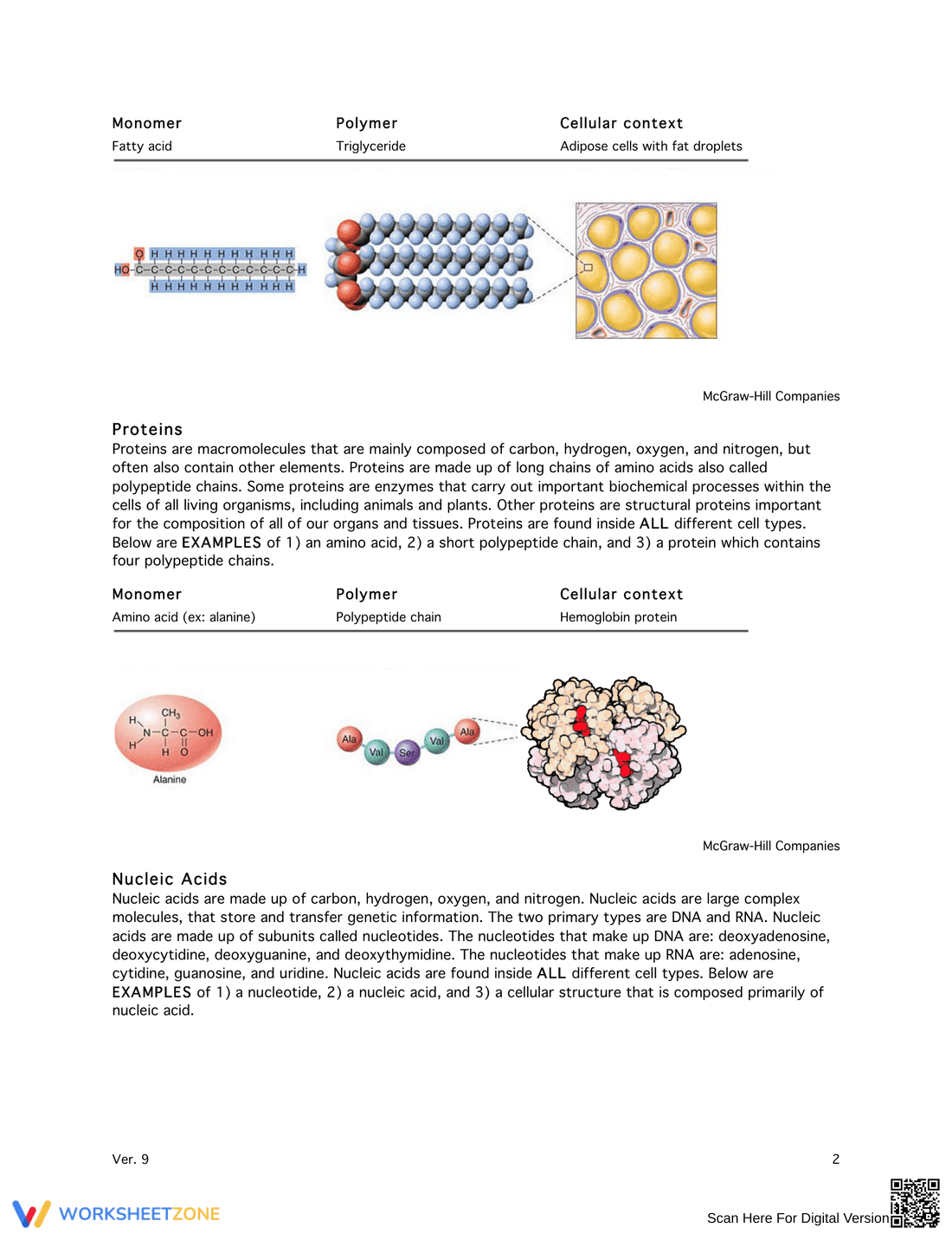 Macromolecules Exercise: Chemistry - Page 2