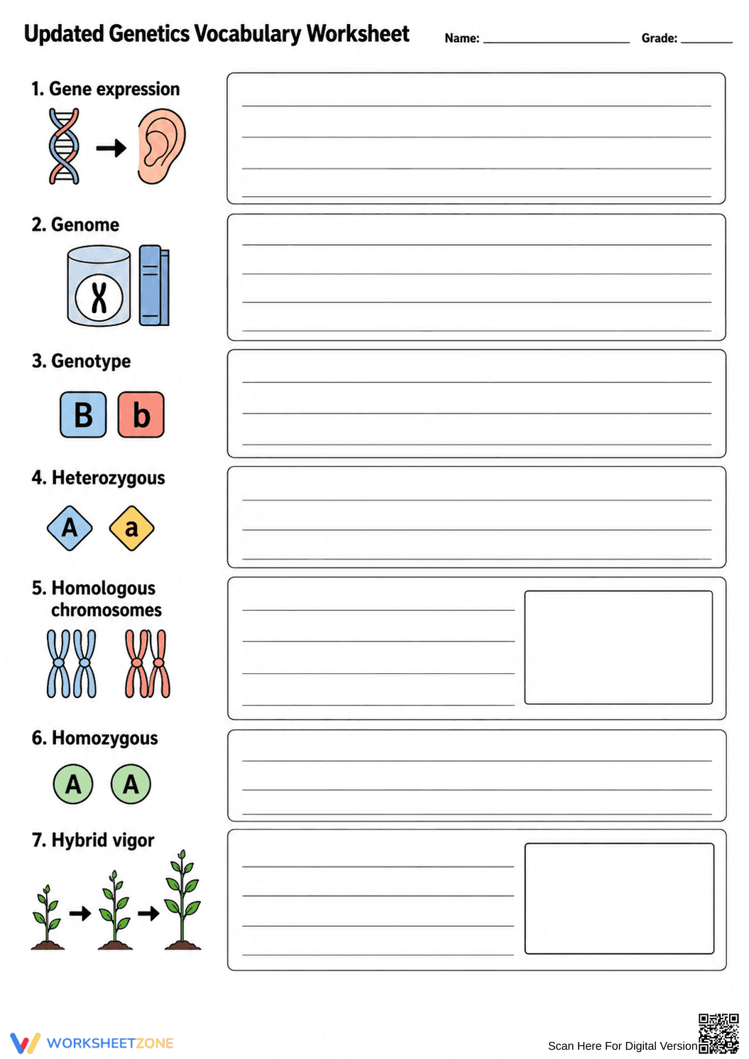 Grade 9 Genetics Vocabulary — Printable No-Prep Worksheet - Page 2