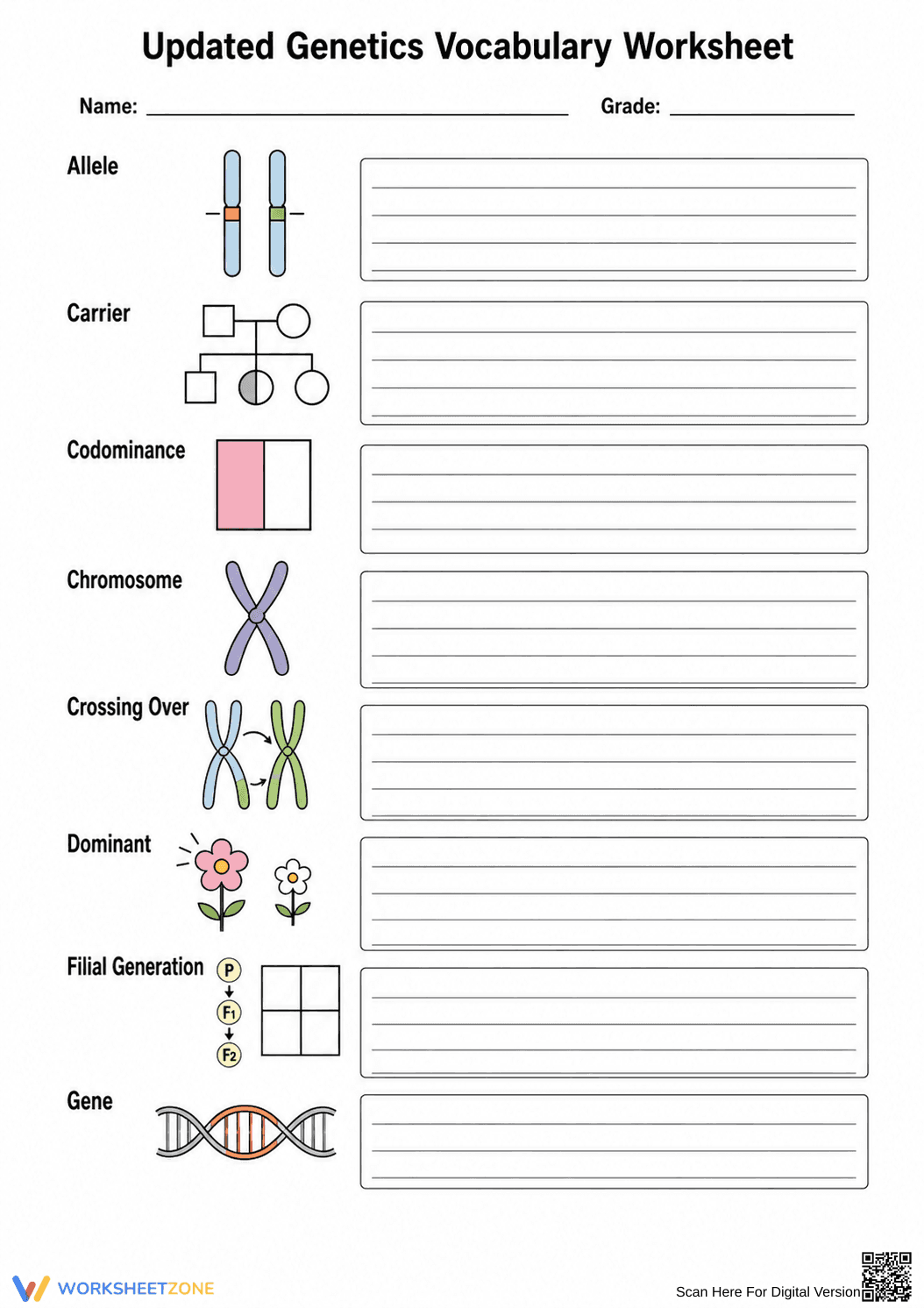 Grade 9 Genetics Vocabulary — Printable No-Prep Worksheet - Page 3