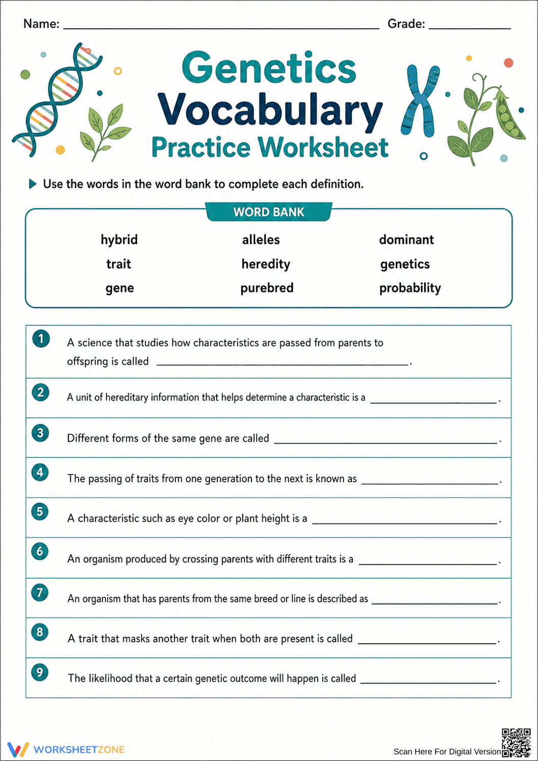 Genetics Vocabulary Worksheet (3 Levels) | Grade 7 Ready - Page 3