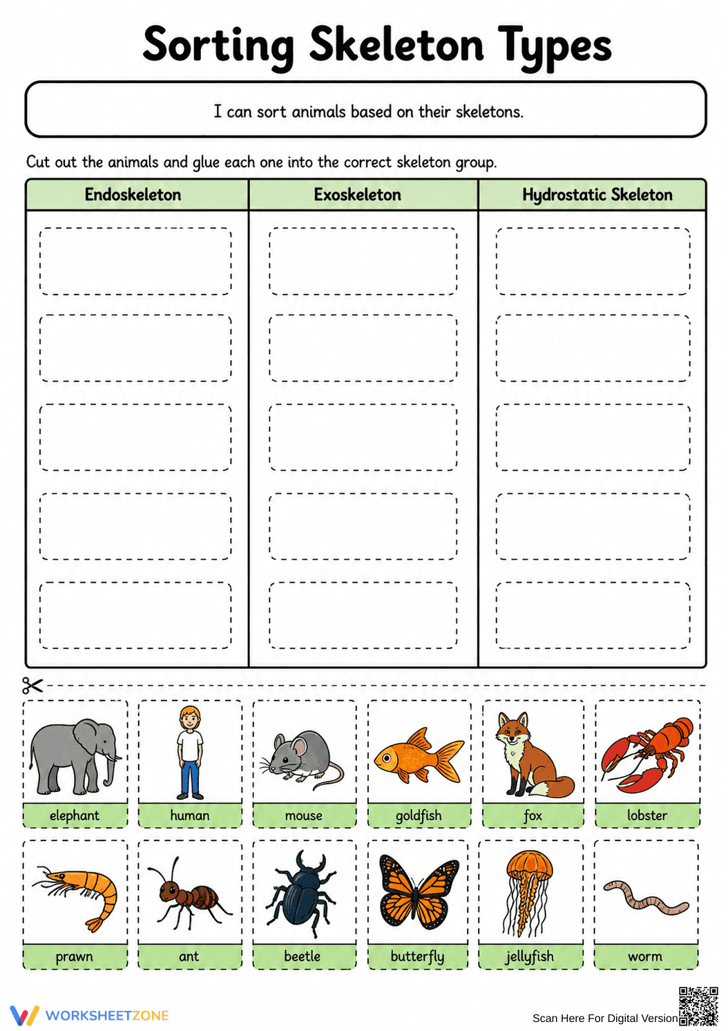 Sorting Skeleton Types Worksheet (3 Levels) | Grade 4 Ready - Page 7