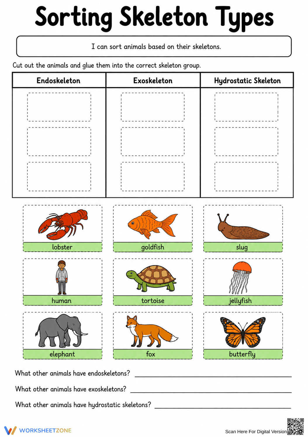 Sorting Skeleton Types Worksheet (3 Levels) | Grade 4 Ready - Page 8