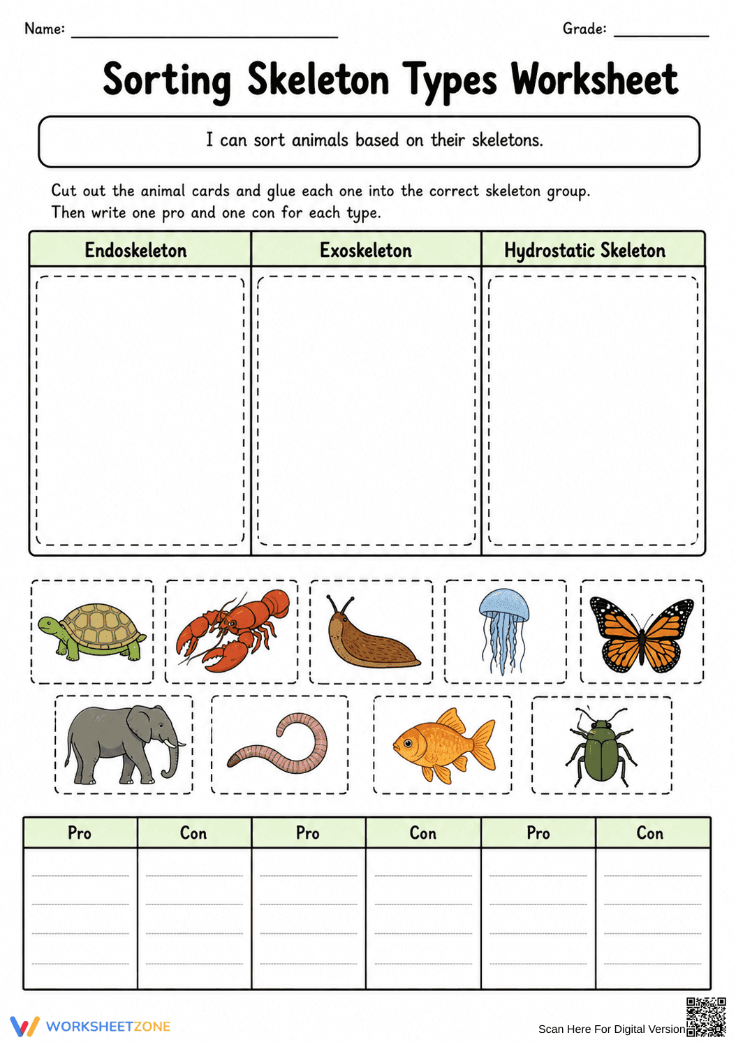 Sorting Skeleton Types Worksheet (3 Levels) | Grade 4 Ready - Page 9
