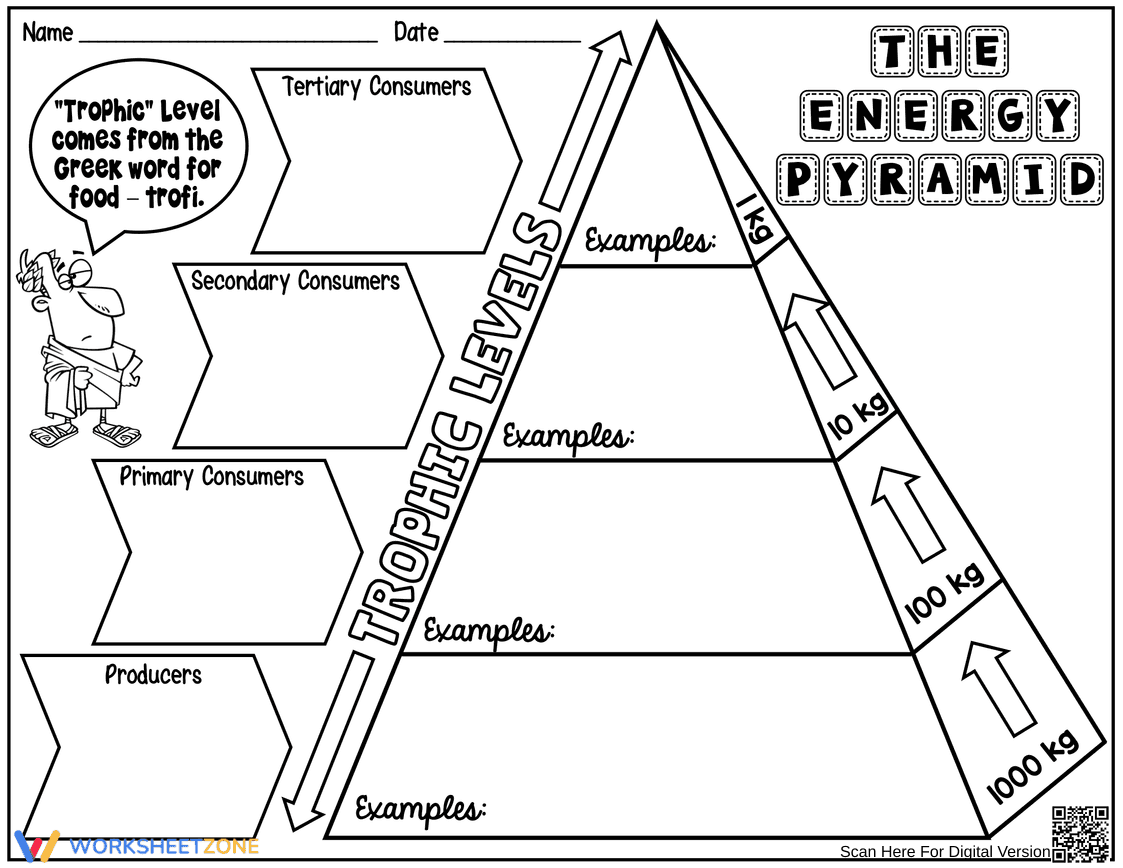 Exploring the Energy Pyramid Worksheet - Page 2