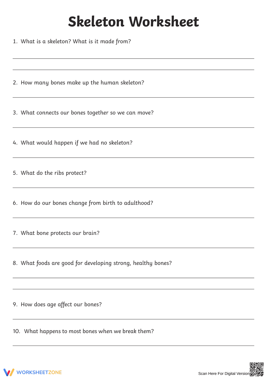 Anatomy: Explore the Human Skeleton Worksheet - Page 2
