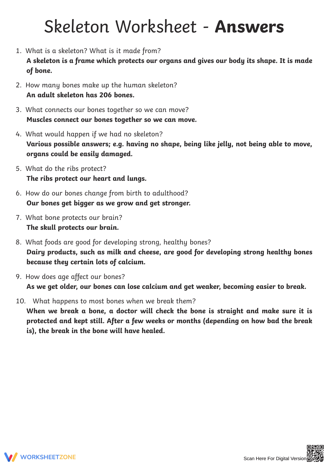 Anatomy: Explore the Human Skeleton Worksheet - Page 4