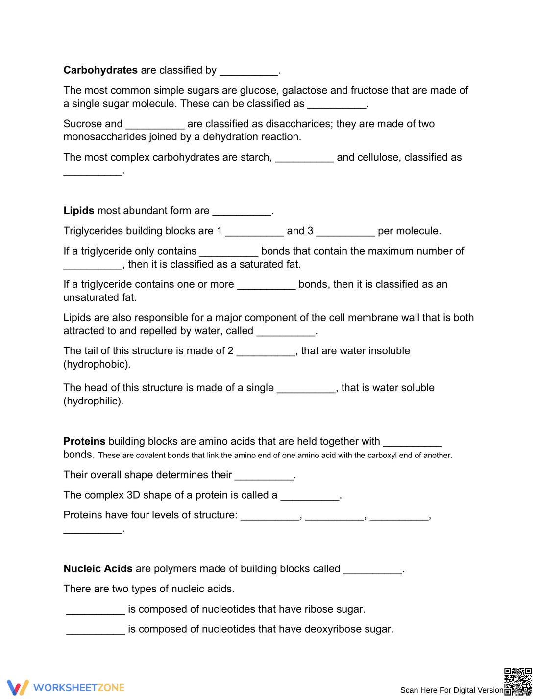 Macromolecules of Life Worksheet - Page 2
