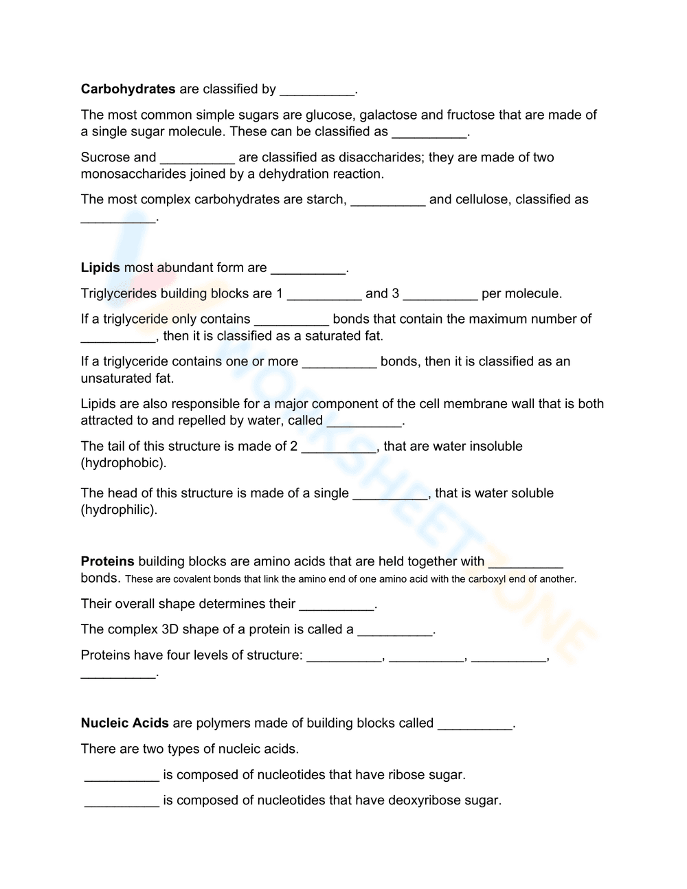 Macromolecules of Life Worksheet - Page 2