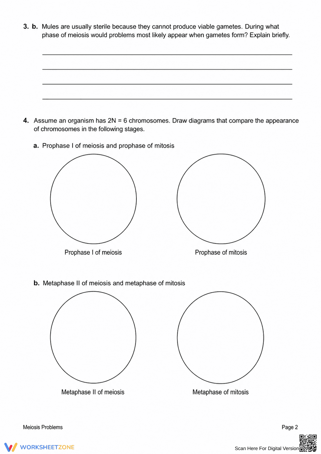 Meiosis & Diploid Numbers Printable Worksheet | Grade 9-12 - Page 2