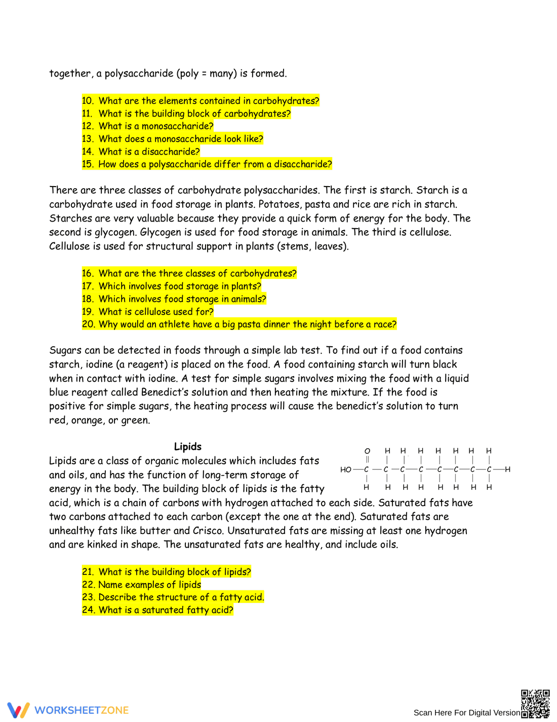 Macromolecule Biomolecule Review Worksheet - Page 2