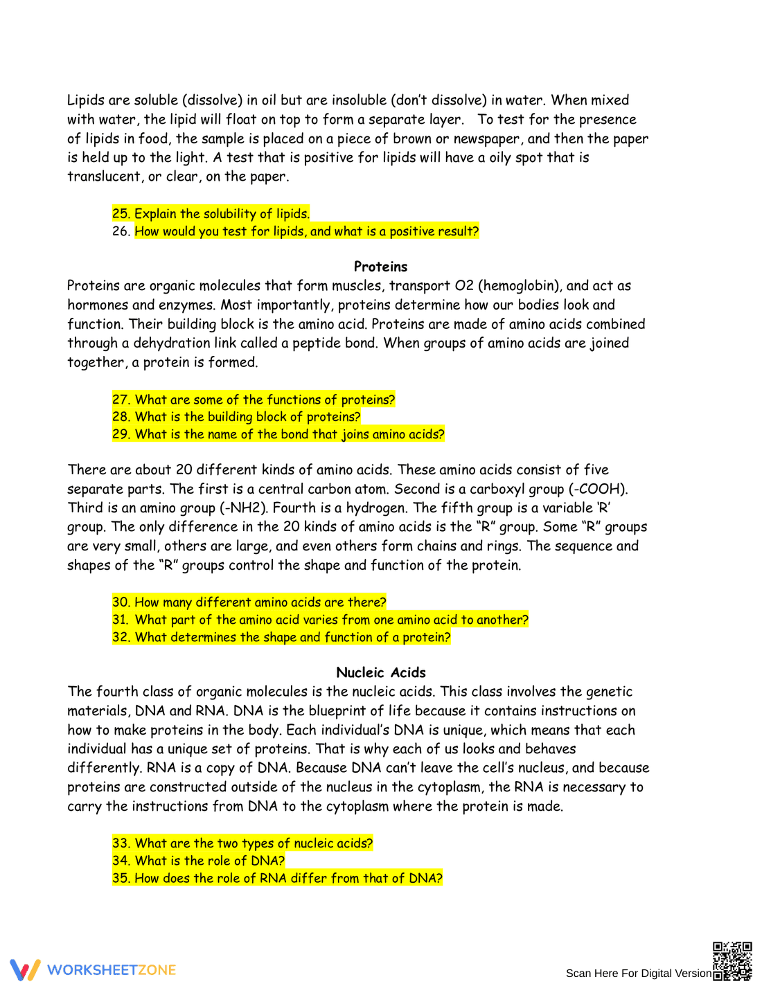Macromolecule Biomolecule Review Worksheet - Page 3