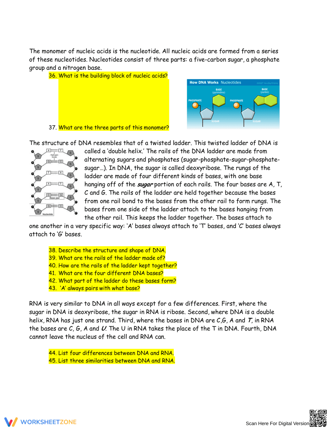Macromolecule Biomolecule Review Worksheet - Page 4