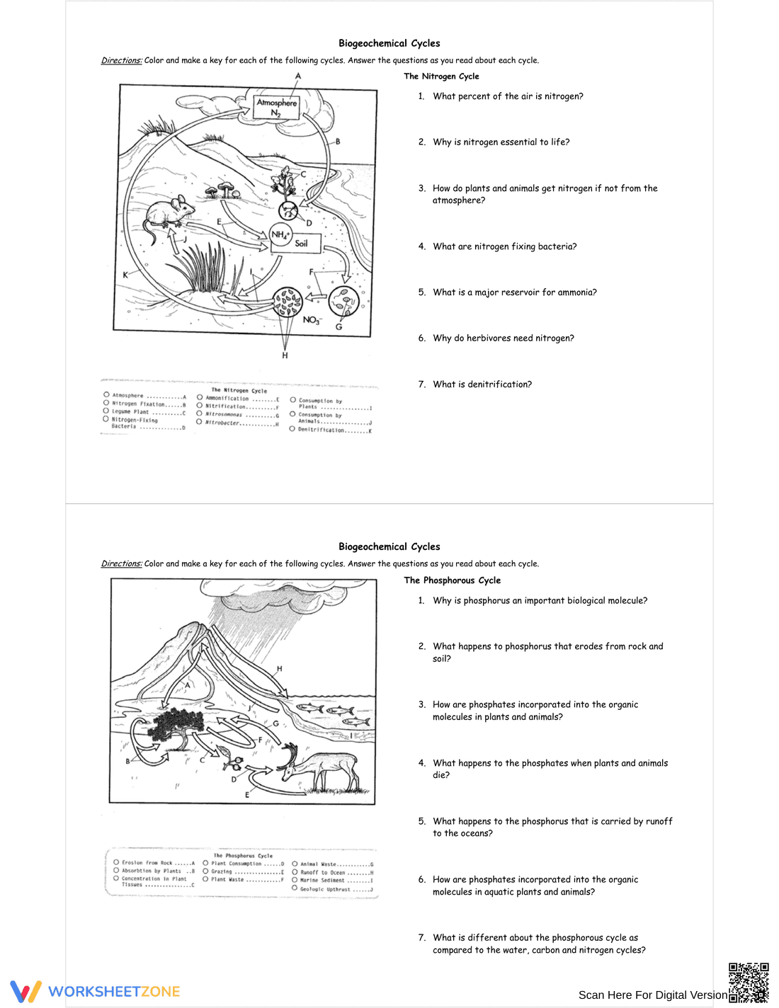 Understanding Biogeochemical Cycles - Page 2