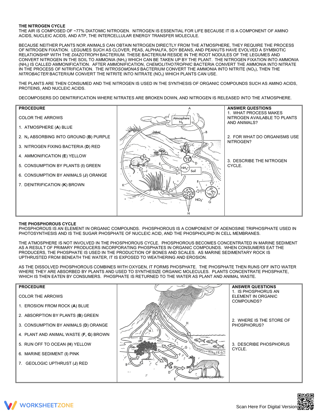Biogeochemical Cycles Explained - Page 2