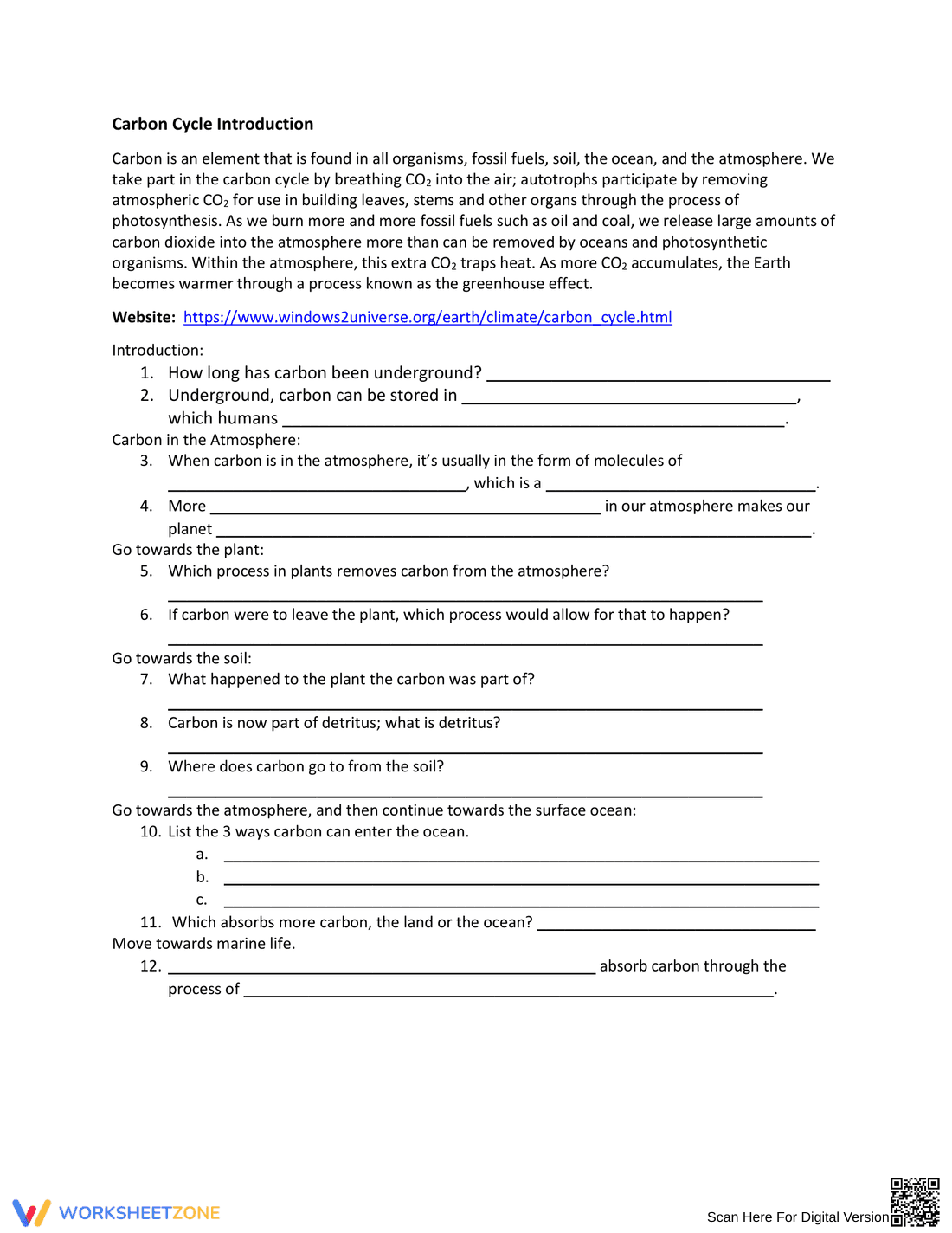 Biogeochemical Cycles Webquest - Page 2
