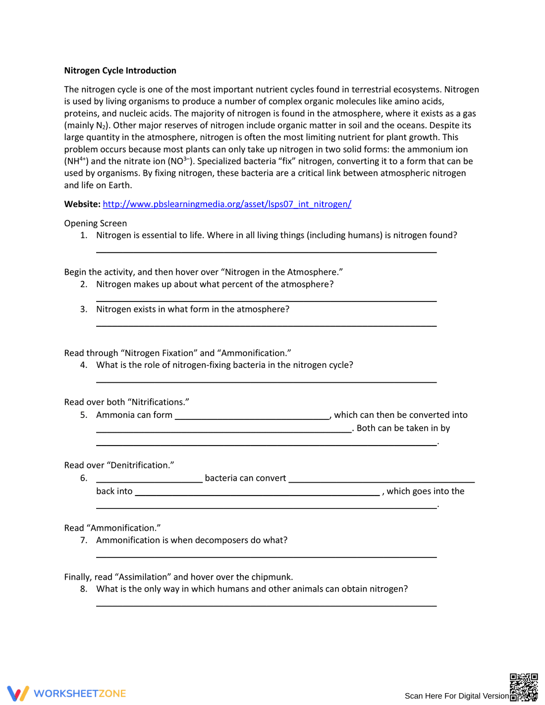 Biogeochemical Cycles Webquest - Page 3
