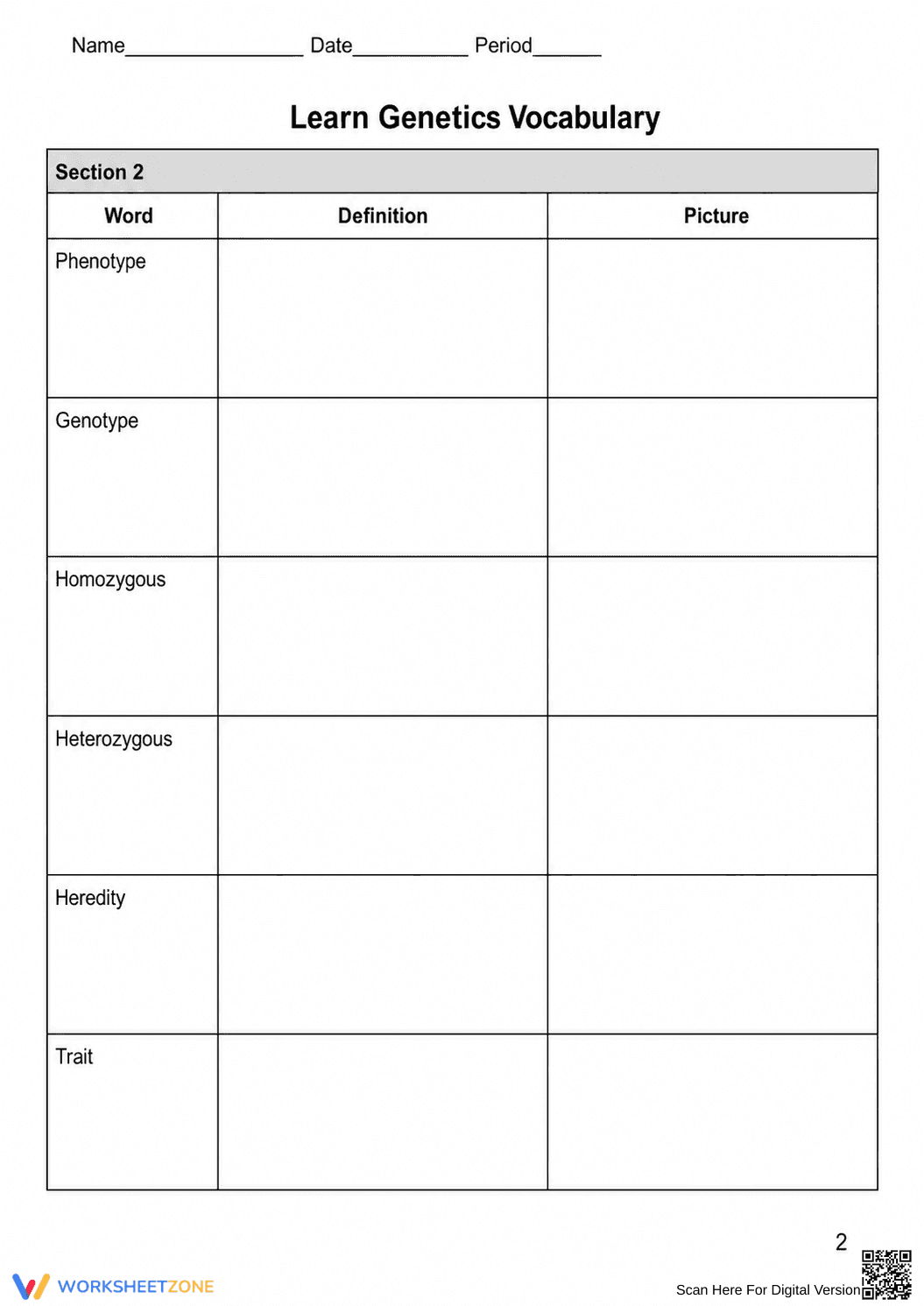 Grade 8 Genetics Vocabulary — Printable No-Prep Worksheet - Page 2